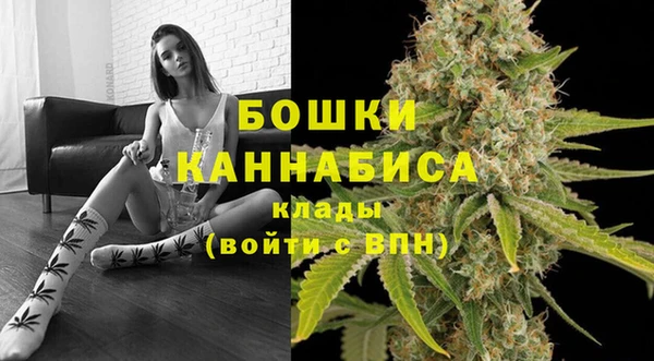 PSILOCYBIN Алексеевка